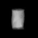 Accepted prediction at 0 degrees. CT-derived simulated radiograph, displayed at the recorded common window.