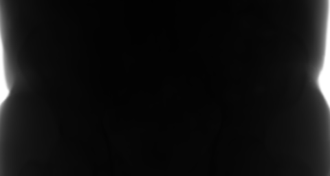 Linear expected-count image: rays through the body are dark and the open beam is bright.