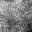 Recorded Poisson observation of the same patch at 1000 expected background counts per pixel.