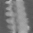 Scalar Poisson, Limited angle, scalar attenuation at 80 kev, sagittal (x = 0 mm)