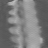 Scalar log-WLS, Limited angle, scalar attenuation at 80 kev, sagittal (x = 0 mm)