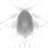 Spectral fixed metric, Limited angle, water fraction, axial (z = 0 mm)