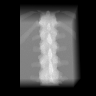 First whole withheld spectral observation, negative log of count over known open beam